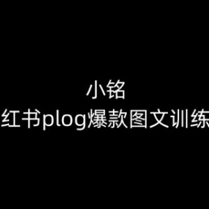 小红书plog爆款图文训练营 0基础掌握从账号搭建到变现全流程-雨叶虚拟资源网