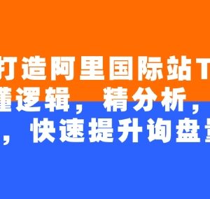 阿里国际站TOP店铺打造教程 4个月掌握逻辑规划快速提升询盘量-雨叶虚拟资源网