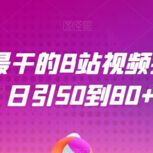 B站视频引流实操全攻略 可实现日均引流50-80+精准流量-雨叶虚拟资源网