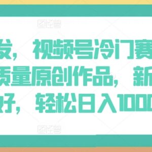 视频号AI原创冷门赛道玩法 新人易上手可赚创作者分成收益-雨叶虚拟资源网
