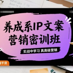 养成系IP文案营销密训班 实战学习私域高级营销技巧-雨叶虚拟资源网