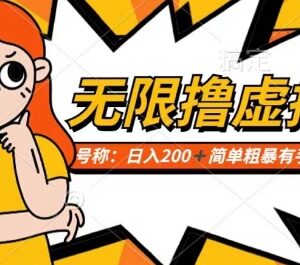 电商平台撸虚拟资源变现项目揭秘 小白上手可轻松获得额外收益-雨叶虚拟资源网