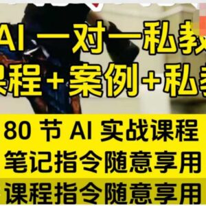 80节AI指令实战课 附配套案例与指令笔记 全场景实操教学-雨叶虚拟资源网