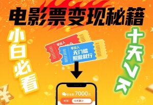 零投入无门槛电影票代售项目实操 小白正规操作十天可赚数千元-雨叶虚拟资源网