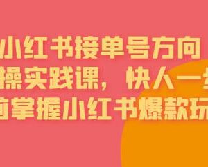 小红书接单号实操运营课程 从定位到导流全流程爆款玩法详解-雨叶虚拟资源网