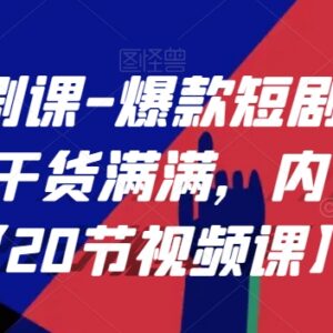 20节权威短剧编剧精品课 爆款短剧创作全流程干货教学-雨叶虚拟资源网