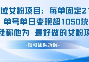 低门槛私域女粉变现项目介绍 每单21元单日收益可超千元-雨叶虚拟资源网