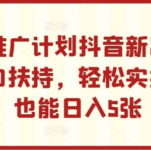 2024抖音小程序推广计划新玩法 无门槛新手可上手赚钱项目解析-雨叶虚拟资源网