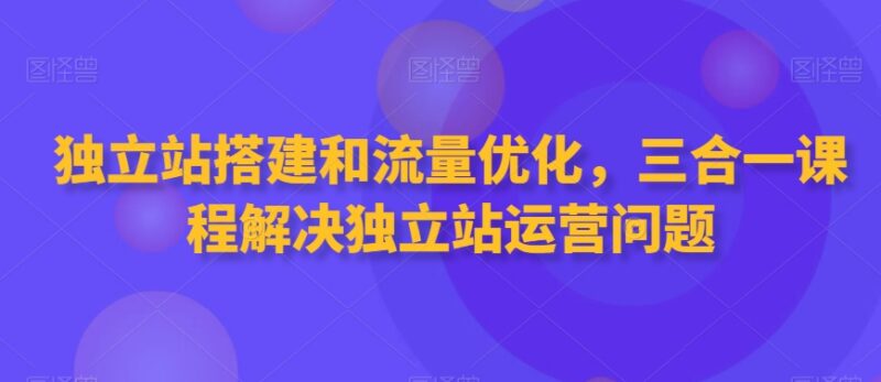 独立站搭建流量优化收款全流程 三合一运营实战课程