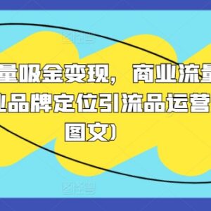 2024商业流量变现指南 品牌定位与引流品运营逻辑详解-雨叶虚拟资源网
