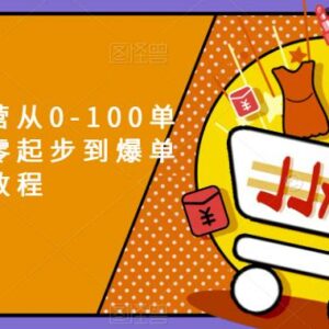 拼多多新手运营从0到100单教程 开店到爆单全流程实操课-雨叶虚拟资源网