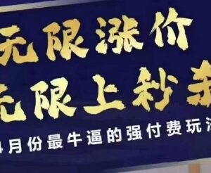 2024年4月拼多多最新强付费玩法 可无限涨价上秒杀实操教程-雨叶虚拟资源网