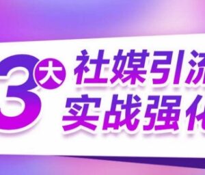 海外三大社媒引流实操教程 精准获客实现订单销售额翻倍增长-雨叶虚拟资源网