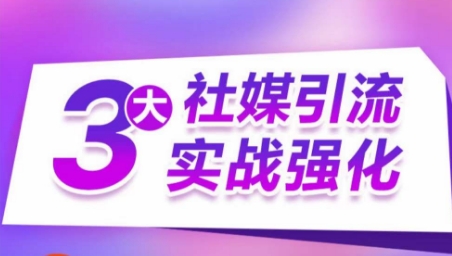 海外三大社媒引流实操教程 精准获客实现订单销售额翻倍增长