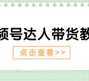 视频号达人带货实操教程 长短周期玩法含剧情及广告打法-雨叶虚拟资源网