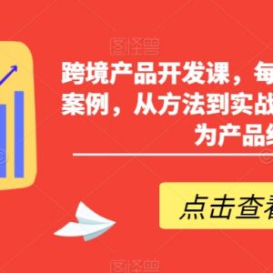 跨境产品开发实战课程 多案例拆解从方法到实操教你做产品经理-雨叶虚拟资源网