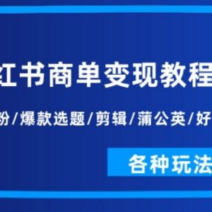 小红书商单变现完整实操教程 覆盖起号涨粉剪辑运营全玩法-雨叶虚拟资源网