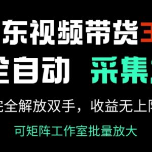 2025京东视频带货3.0玩法 AI全自动采集发布操作教程-雨叶虚拟资源网