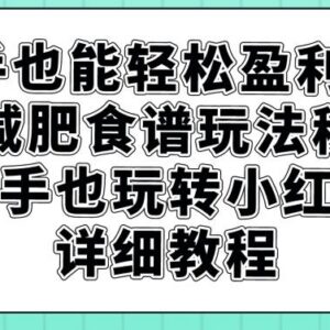 小红书卖减肥食谱盈利操作教程 新手零基础上手玩法全指南-雨叶虚拟资源网