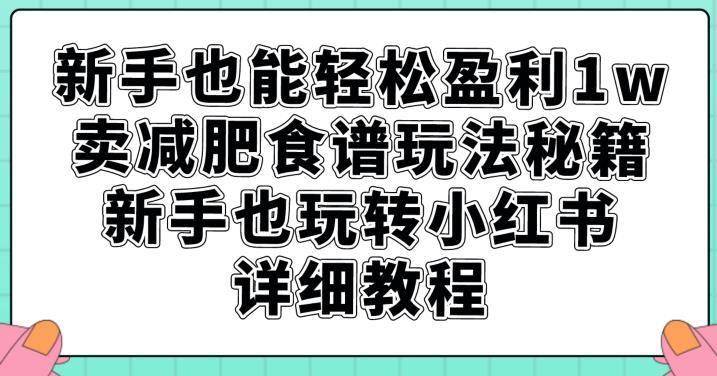 小红书卖减肥食谱盈利操作教程 新手零基础上手玩法全指南