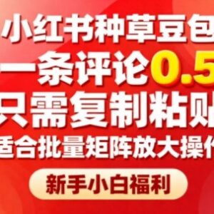 小红书豆包种草评论副业解析 0.5元每条新手可批量矩阵操作-雨叶虚拟资源网