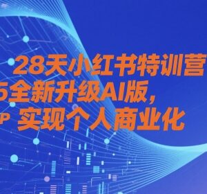 2025全新AI版28天小红书特训营 打造个人IP实现商业变现-雨叶虚拟资源网