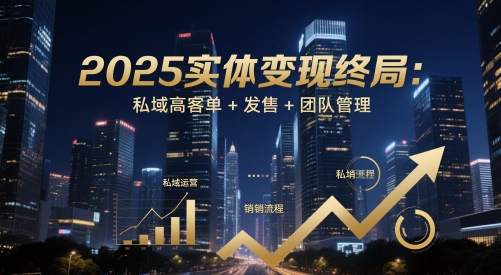 2025实体私域变现实操方法：高客单玩法+发售技巧+团队管理