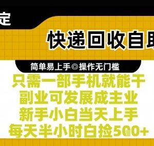 快递回收自助玩法实操攻略 新手仅用手机即可当日上手赚收益-雨叶虚拟资源网