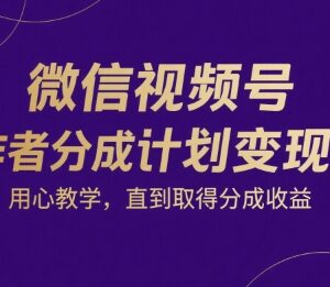 微信视频号创作者分成计划教学 从0到1掌握涨粉变现全流程-雨叶虚拟资源网