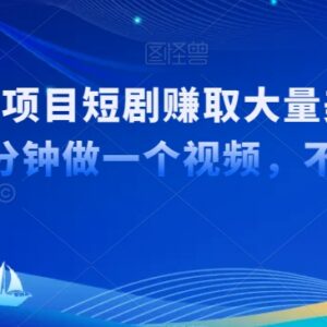 国内短剧出海TikTok赚美金实操 十分钟制作推广视频教程-雨叶虚拟资源网