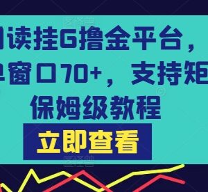 无风控阅读挂机撸金平台实操教程 单窗70+收益支持矩阵布局-雨叶虚拟资源网