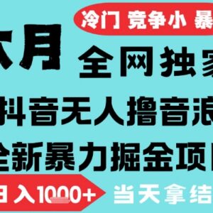 2025年6月抖音无人直播撸音浪掘金项目 低门槛小白可做可矩阵放大-雨叶虚拟资源网