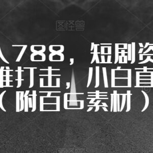 短剧换维变现新玩法教程 零基础小白可上手附百G素材资源-雨叶虚拟资源网
