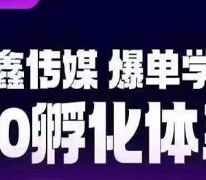 抖鑫传媒爆单学院8.0孵化体系 助力打造稳定变现抖音带货账号-雨叶虚拟资源网