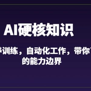 GPT喂养训练与AI自动化教程 10节课带你了解AI能力边界-雨叶虚拟资源网