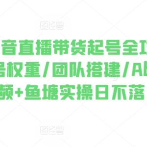 2024抖音直播带货起号全攻略 0粉起号团队搭建实操方法汇总-雨叶虚拟资源网