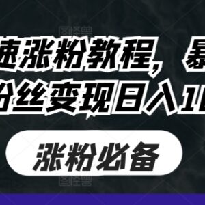 抖音暴力涨粉实操教程 涨粉多路径变现玩法附配套教学资源-雨叶虚拟资源网