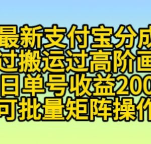 2024年11月支付宝分成计划高阶玩法 小白单号单日收益200+-雨叶虚拟资源网