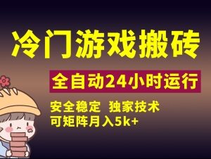 冷门游戏全自动搬砖项目实操教程 小白可上手稳定可矩阵月入5k-雨叶虚拟资源网