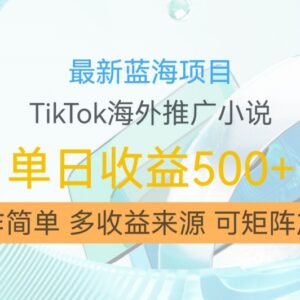 TikTok海外推广小说赚佣金蓝海项目 低门槛可矩阵放大操作教程-雨叶虚拟资源网