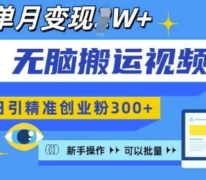 2024视频号无脑搬运引创业粉教程 新手可操作批量复制变现方法-雨叶虚拟资源网