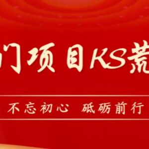 快手冷门荒野求生直播玩法教程 含完整操作步骤及配套素材-雨叶虚拟资源网