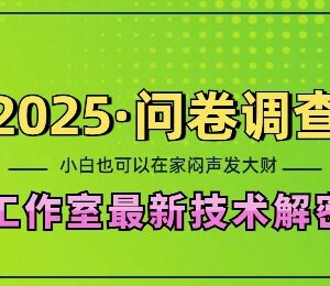 2025最新问卷调查工作室技术解密 单人在家可做小白易上手可矩阵放大-雨叶虚拟资源网