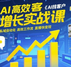 AI高效获客增长实战课 私域自动化运营 快速变现工作流教学-雨叶虚拟资源网