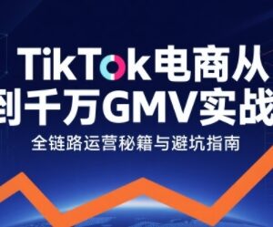 TikTok电商从0到千万GMV实战课 全链路运营玩法拆解指南-雨叶虚拟资源网