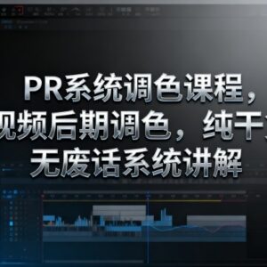 PR系统调色实用课程 视频后期调色思路及实战案例教学-雨叶虚拟资源网