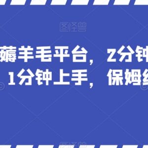 国外薅羊毛平台实操指南 新手1分钟上手做任务赚收益教程-雨叶虚拟资源网