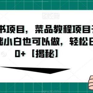 小红书菜品教程项目升级玩法 0基础小白可做的低门槛副业实操攻略-雨叶虚拟资源网