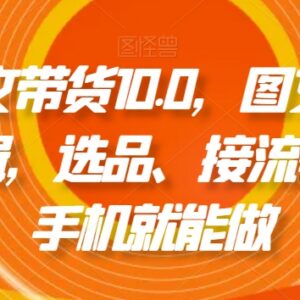 抖音图文带货10.0实操教程 手机可操作含拉流剪辑选品接流全流程-雨叶虚拟资源网