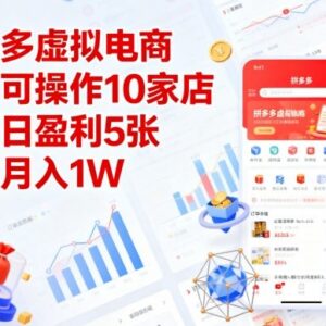 拼多多虚拟电商实操攻略 单人矩阵开店副业盈利玩法解析-雨叶虚拟资源网